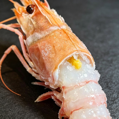 Frozen Cooked Sea Prawns